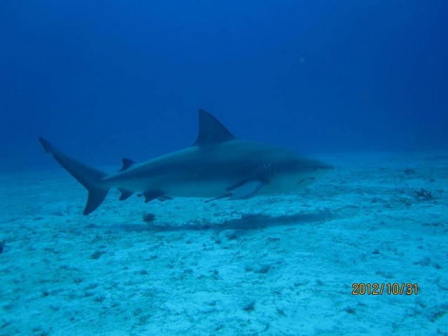 Una experiencia unica